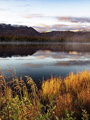 Early morning light