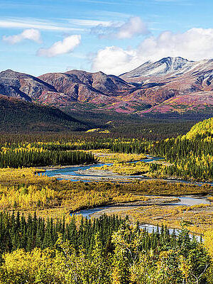 Meandering creek